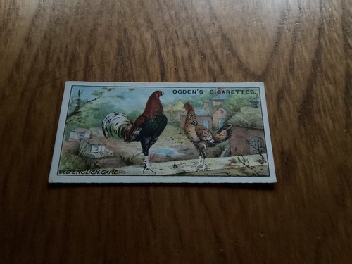 Ogdens poultry with - -, poultry-