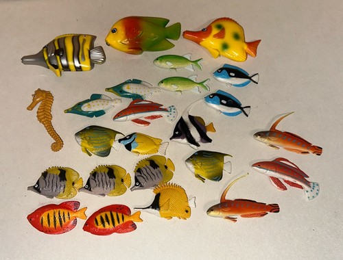 Tropical fish sea animals - sea,
