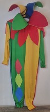 Jester Clown Colourful