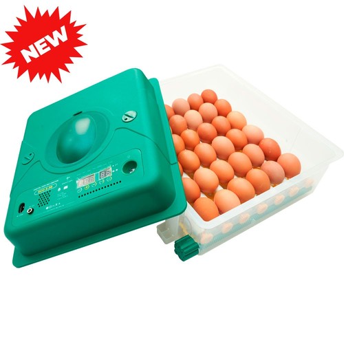 Egg incubator automatic - incubator,