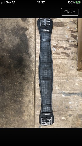 Wintec dressage girth - dressage,