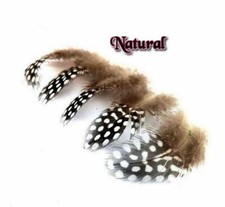 NATURAL Fluffy Guinea Fowl
