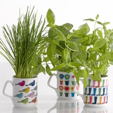 Magic Decal Paper A4 & A3