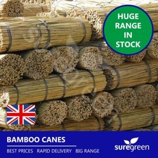 Suregreen Bamboo Canes 2.4m/