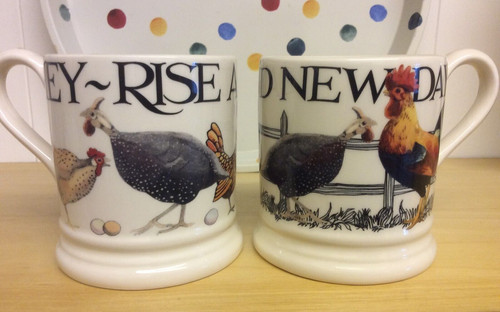 Emma bridgewater rise - bridgewater,