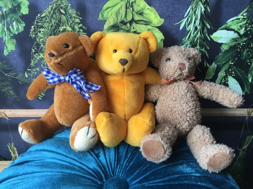 Trio teddy bears - of,