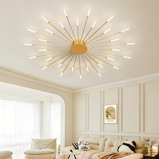 Creative Design Ceiling Light