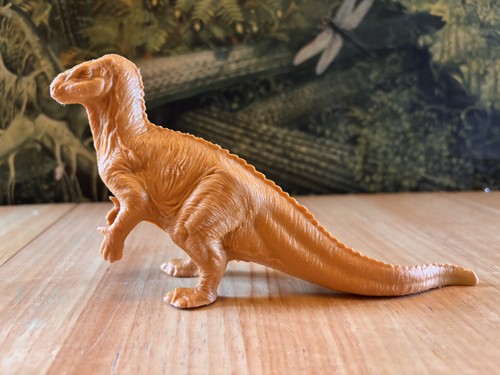 Vintage 1980 natural history - vintage,