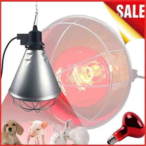 Infrared heat lamp poultry - infrared,