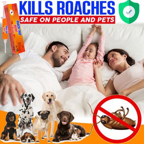Cockroach killer gel bait - cockroach,