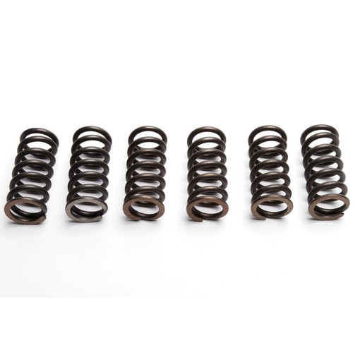 Ebc clutch spring set - spring, pcs)