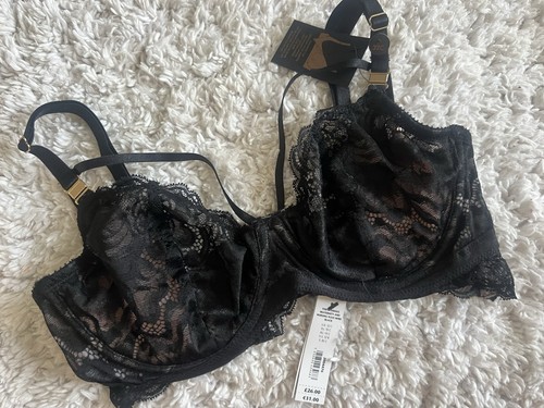 Bnwt the glorious - bnwt,