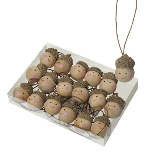 Acorns with faces - acorns,
