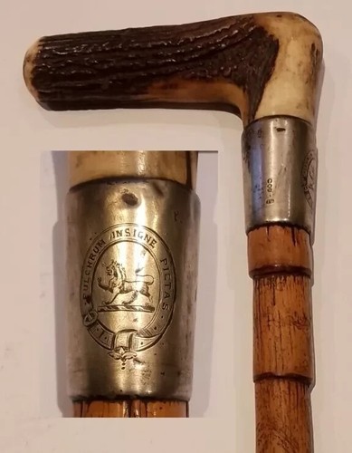 Antique 1883 bamboo - 1883,