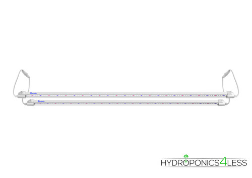 Clone grow bloom led - bloom,