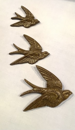 Burwood brown flying swallow - burwood,
