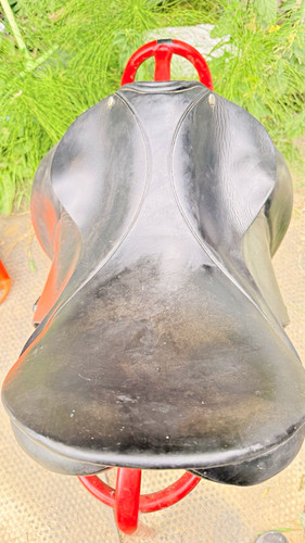 Champion wilton dressage - wilton,