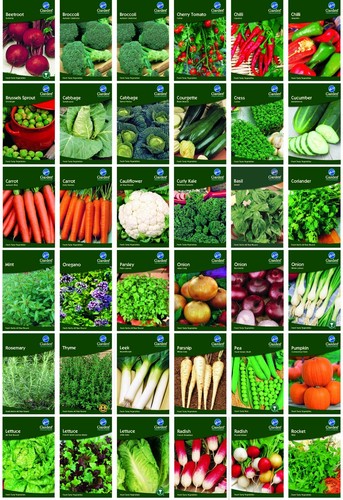 Garden treasures fresh herbs - garden,