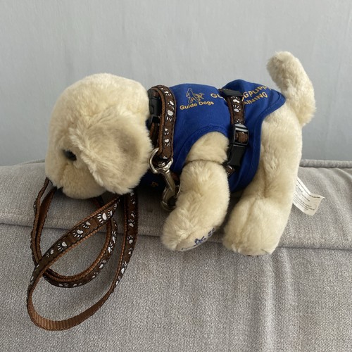 Andrex puppy guide dogs - andrex,