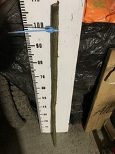 Rose Briar  SHANK WALKING