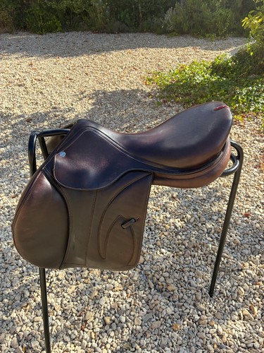 Absolutely gorgeous equipe - gorgeous,