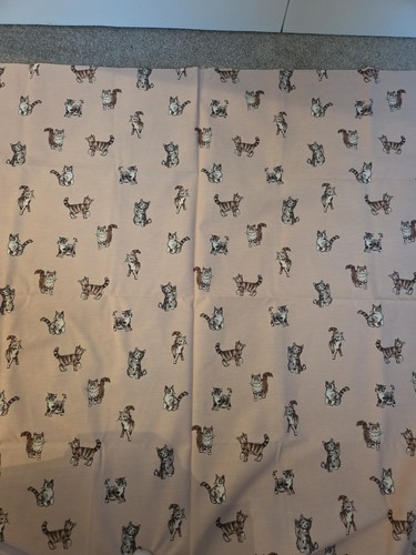 Playful shabby cats upholstery - shabby,