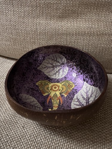 Coconut shell half hand - coconut,