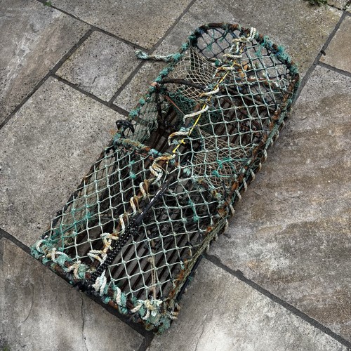 Norfolk lobster crab - lobster, pot