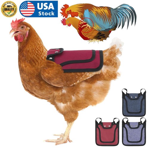 3pcs pet protection back - pet,