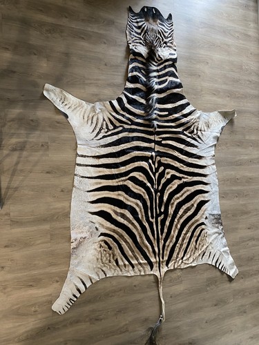 Zebra real skin rug hide - real, large