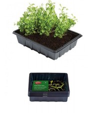 10 Small Seed Trays Half Size