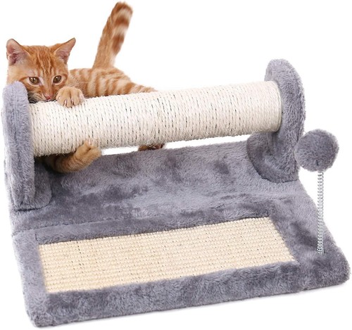 Heavy duty cat kitten - cat,