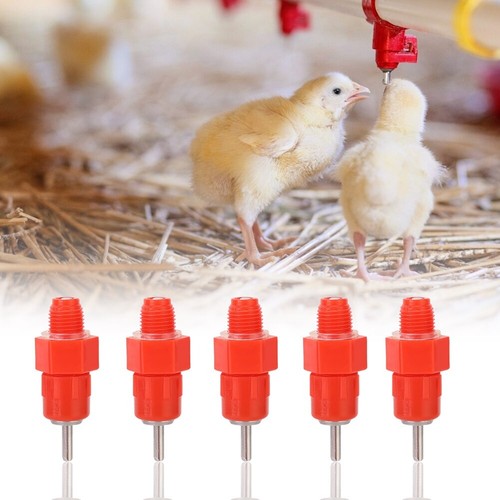 100pcs automatic chicken water - chicken,