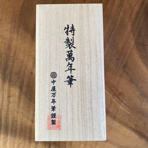Nakaya fountain pen - pen, special