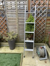 Loft Ladders 2-Section Extension Ladder