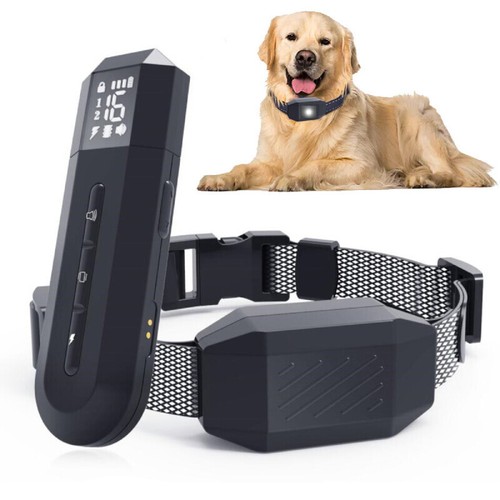 Dog training collar - training, with