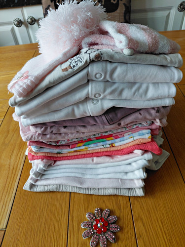 Baby girls clothes bundle - girls,