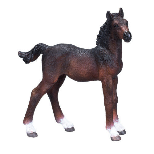 Mojo hanoverian foal horse - mojo,