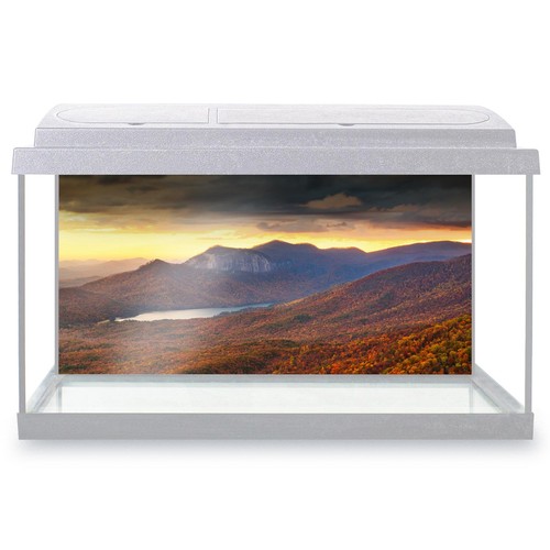Fish tank background - tank, table