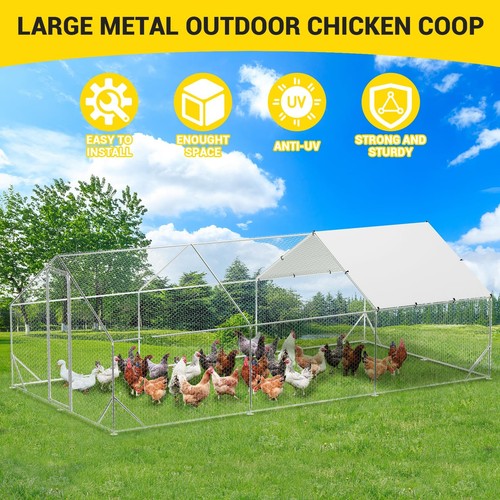 Large metal chicken - 10,