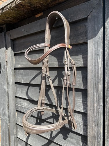 Brown cob size anatomical - brown,