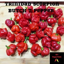 12 Trinidad Scorpion Butch T