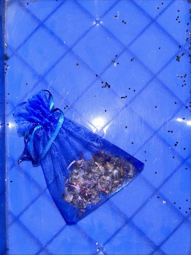 500pc wysiwyg - 500pc,