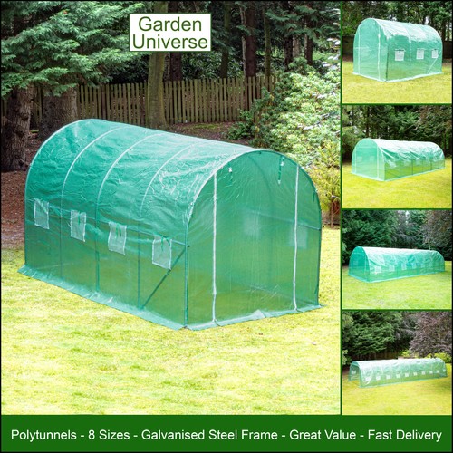 Polytunnel gardening - polytunnel,