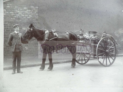 Original photograph dairy - photograph,
