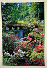 Postcard Waterfall in the Dell