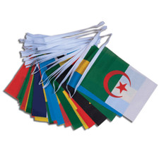 African Nations Flag Bunting