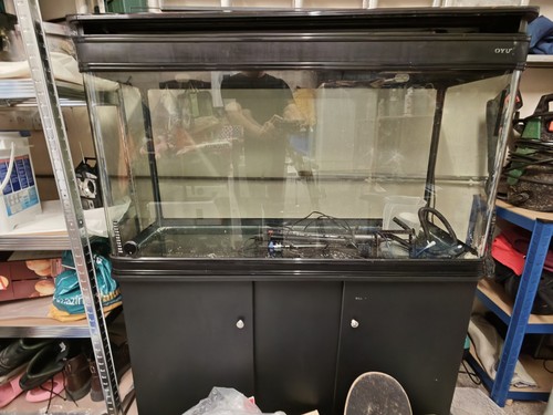 Boyo fish tank - fish, aquarium