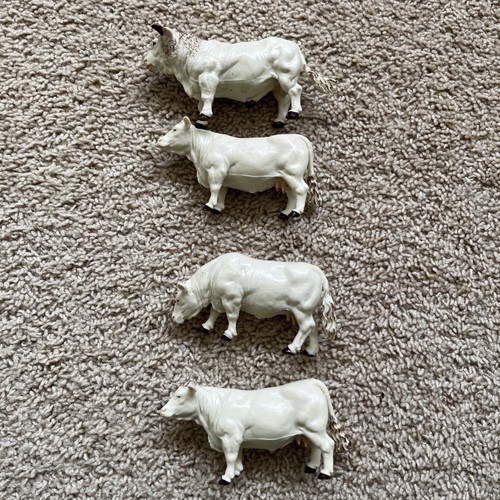Britains charolais cows - charolais,