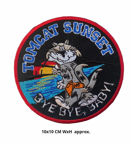 Tomcat sunset navy military - navy,